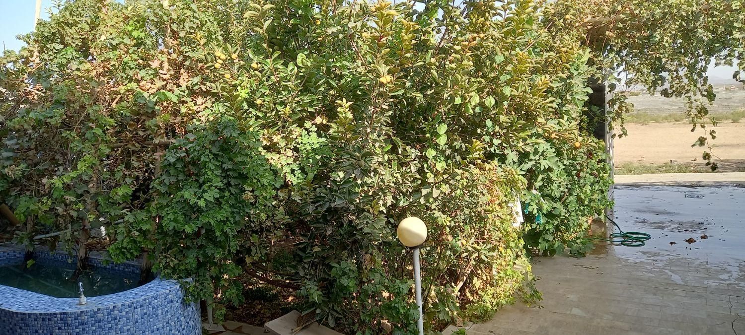 خانه باغ دنج استهریج مهریز|اجارهٔ کوتاهمدت ویلا و باغ|یزد, |دیوار