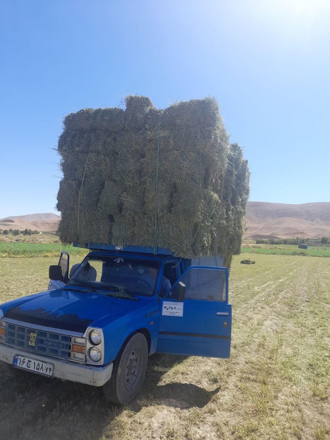 فروش بیده کاه نرمه بنجه پخل گندم پرس یونجه گندم|لوازم جانبی حیوانات|قوچان, |دیوار