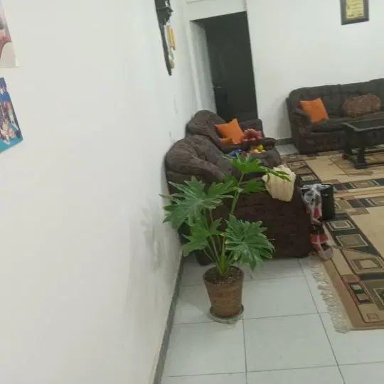 حیاط دربست ۹۰ متری یک خواب|اجارهٔ خانه و ویلا|کرج, گلستان|دیوار