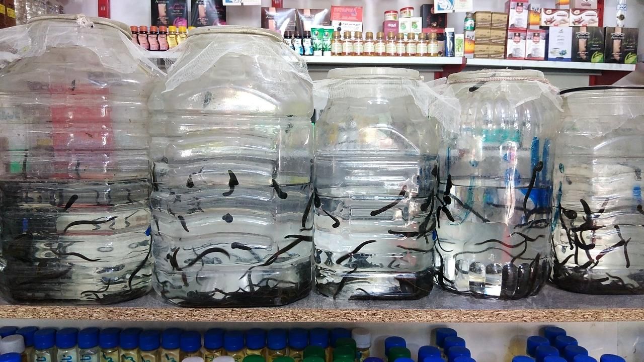 زالو بهداشتی|آرایشی، بهداشتی، درمانی|گرگان, |دیوار