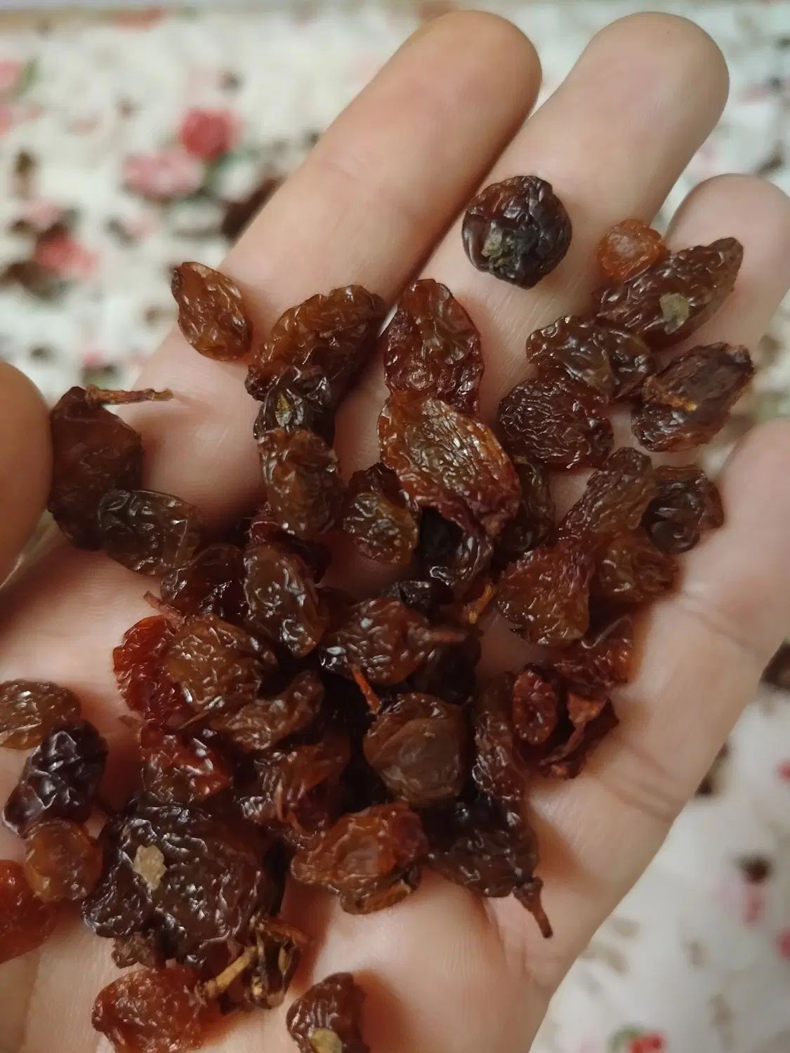 کشمش درگز|خوردنی و آشامیدنی|مشهد, شهرک امام هادی (شهرک غرب)|دیوار