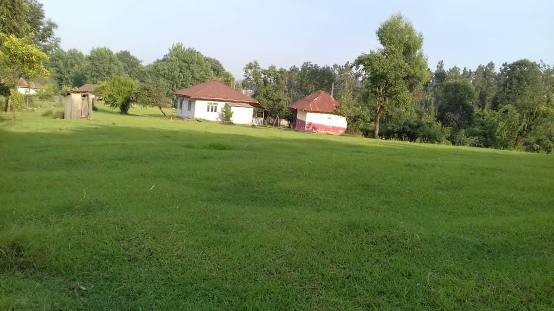 ویلای قدیمساز جنگلی ۱۲هزار متری ، رضوانشهر|فروش زمین و ملک کلنگی|رضوانشهر, |دیوار