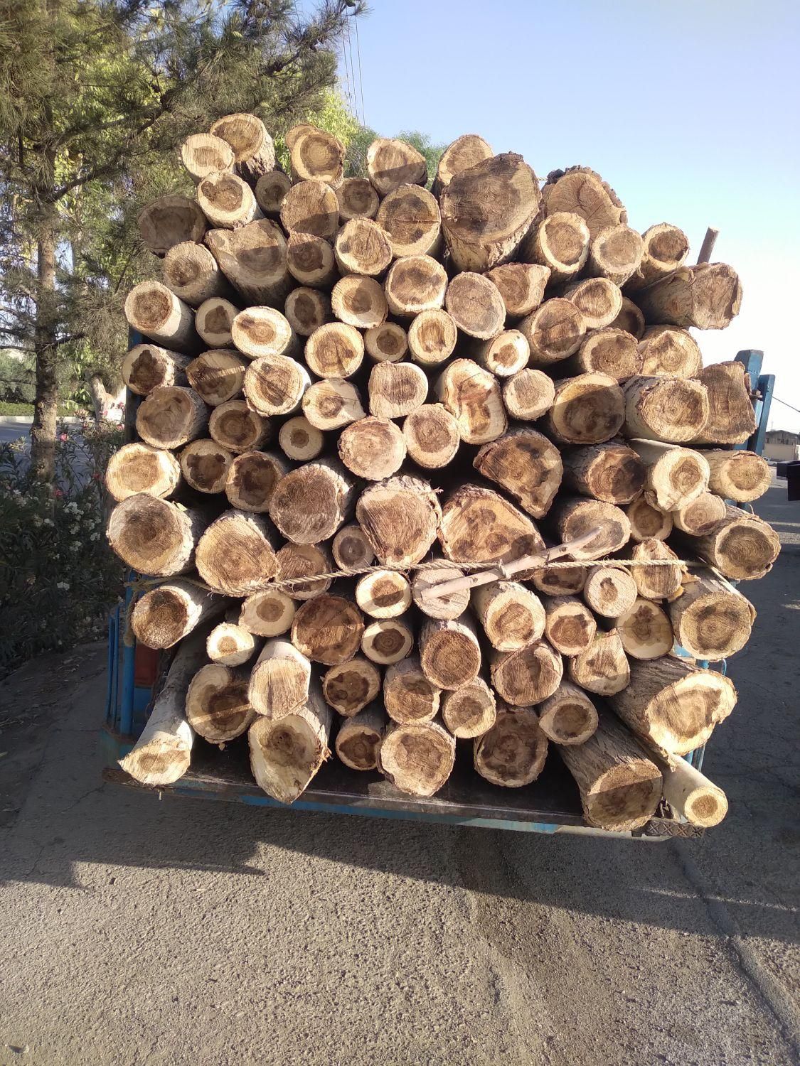 خریدار انواع چوب|خدمات باغبانی و درختکاری|ساوه, |دیوار