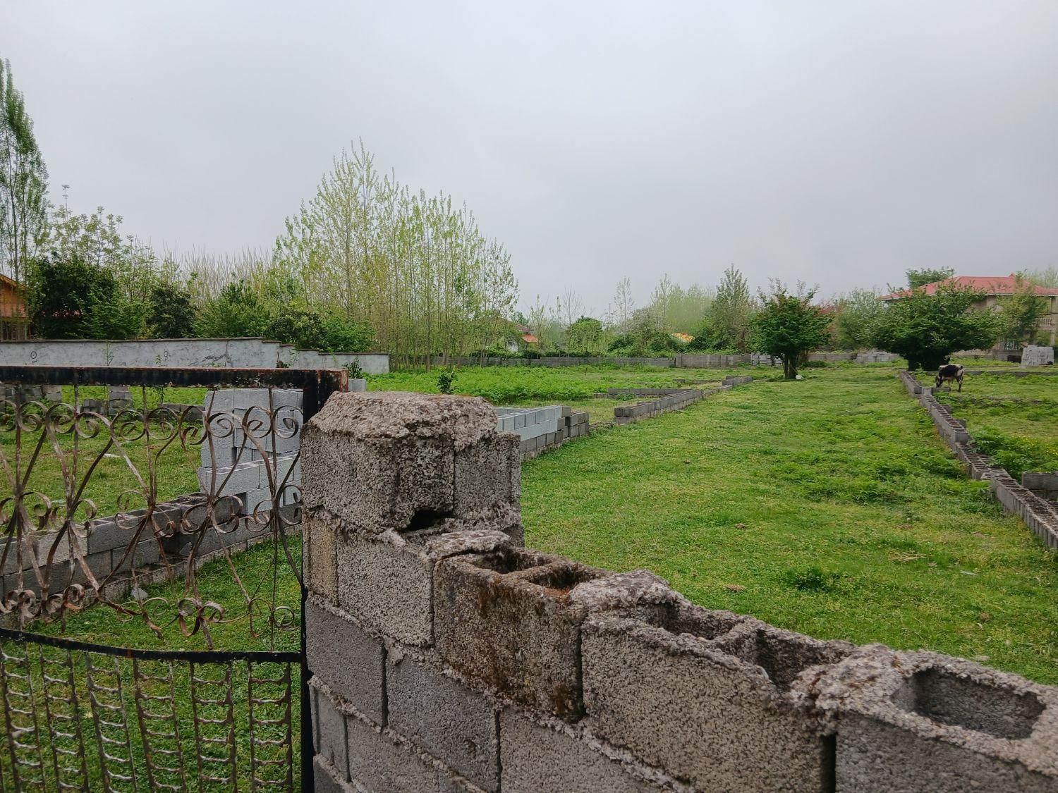 چندین مسکونی باغ جاده ماسال گورابزرمیخ مبین بالو|فروش زمین و ملک کلنگی|گوراب زرمیخ, |دیوار