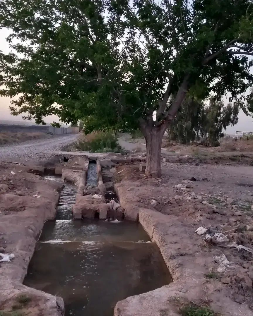 جاده قمصر خیابان ۳۶متری ۱۶متری کاظمی ۳۷۰متری|فروش زمین و ملک کلنگی|کاشان, دشت لتحر|دیوار