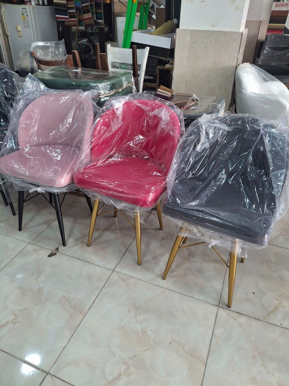 صندلی تدی|آرایشگاه و سالن‌های زیبایی|رشت, امین الضرب|دیوار