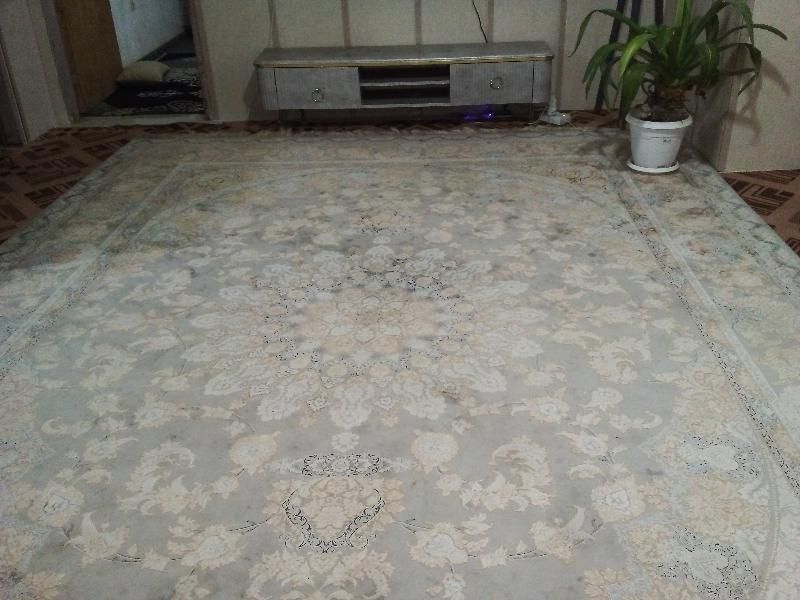 فرش ۱۲۰۰ ش|فرش|سمنان, |دیوار