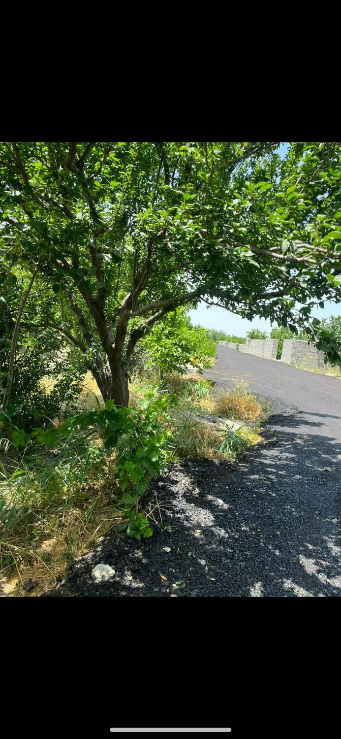 باغچه درختی قدیمی آب کشاورزی برق|فروش زمین و ملک کلنگی|شهریار, رنگرز|دیوار