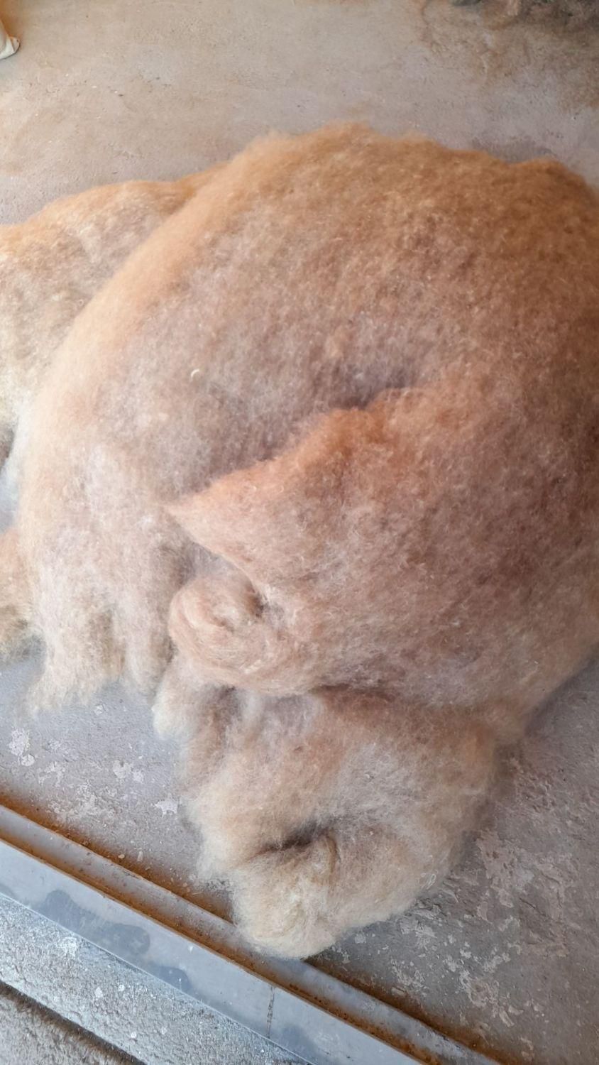 حلاجی(سومح ودیدمه)پشم والیاف|رختخواب، بالش، پتو|سراب, |دیوار