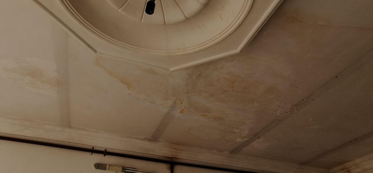 نقاشی ساختمان وپولیستر کاری وکنافکاری|خدمات پیشه و مهارت|مشهد, جاهد شهر|دیوار