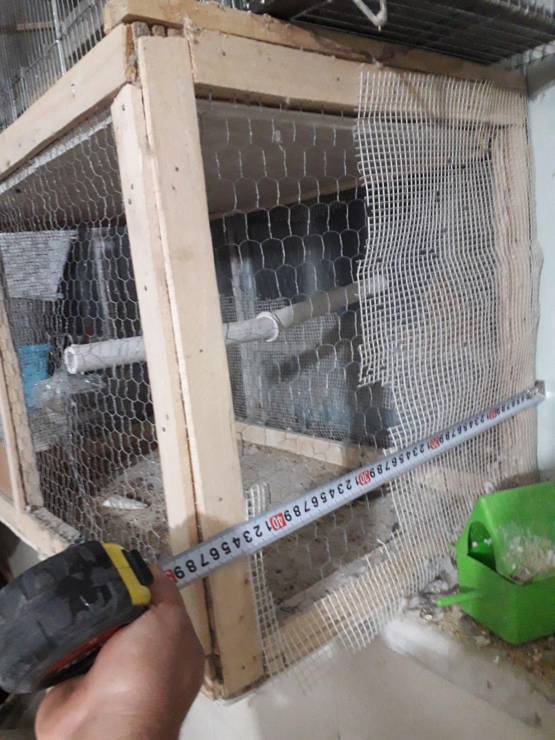 قفس جفت کن کبوتر فنچ و مرغ عشق|لوازم جانبی حیوانات|داران, |دیوار