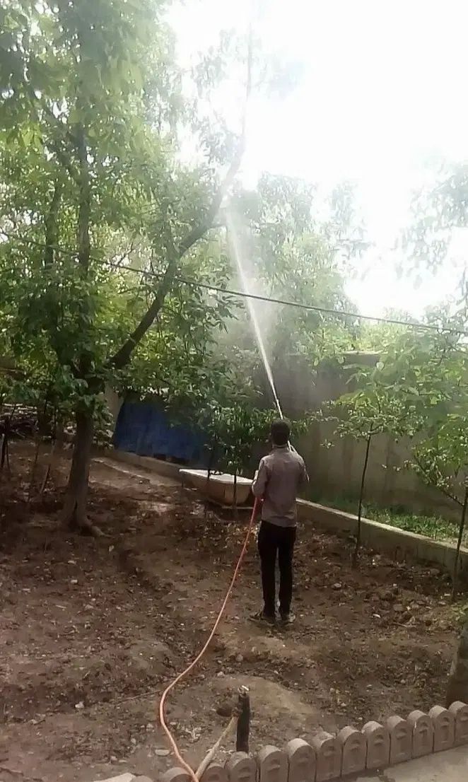 باغبانی و سم پاشی و حرس کردن|خدمات باغبانی و درختکاری|مشهد, وکیل‌آباد|دیوار