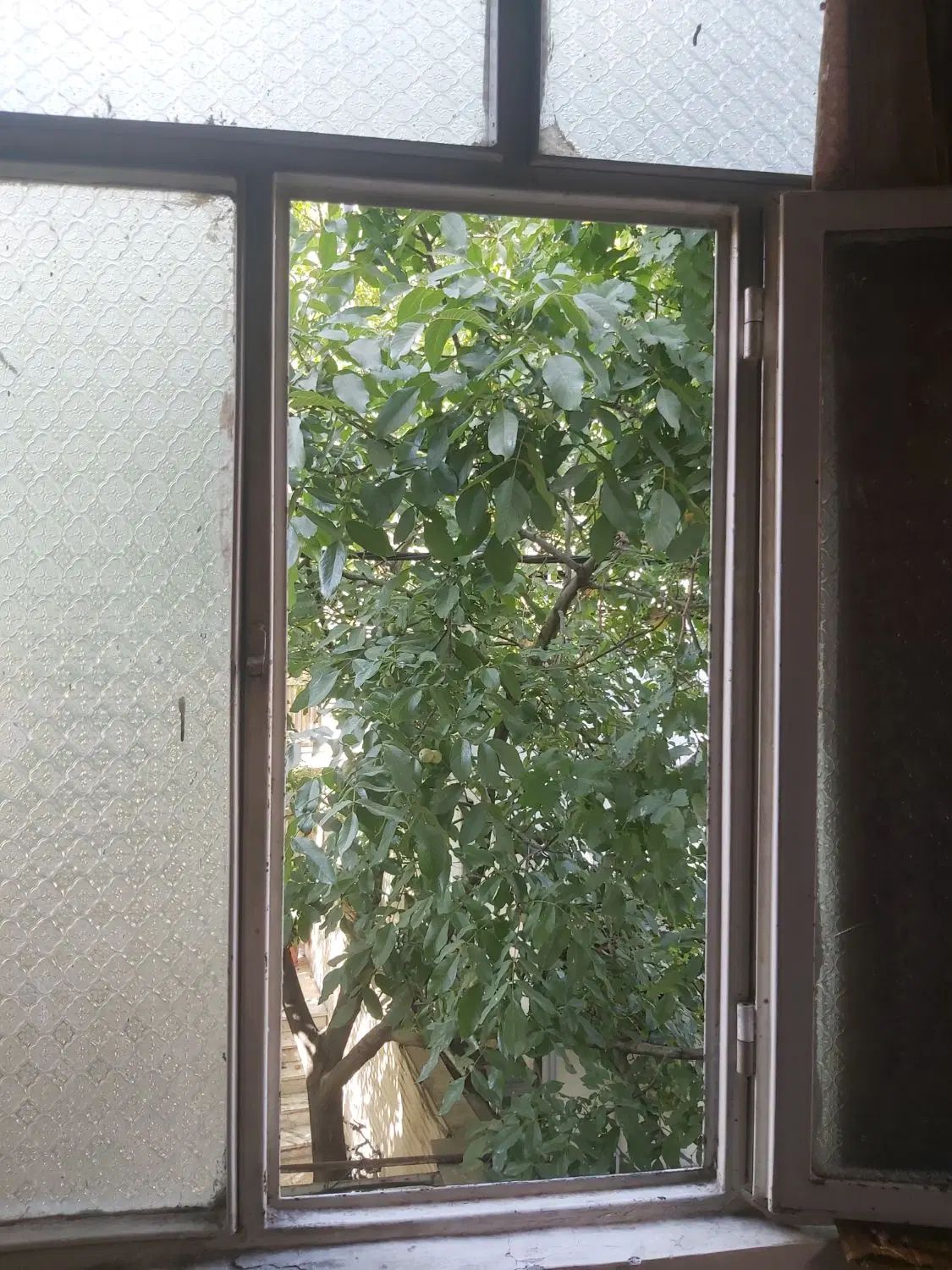 68 متر یکخوابه طبقه اول غرق در نور|فروش آپارتمان|تهران, ده‌ونک|دیوار