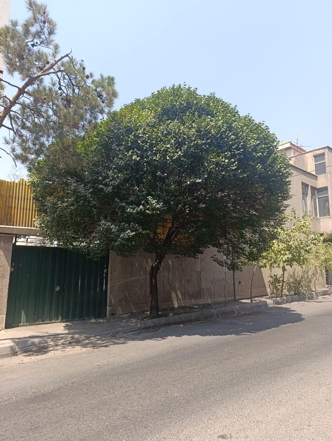 بهار شمالی / ۲۰۰ متر بر ۸ مناسب سرمایه گذاری|فروش زمین و ملک کلنگی|تهران, امجدیه (خاقانی)|دیوار