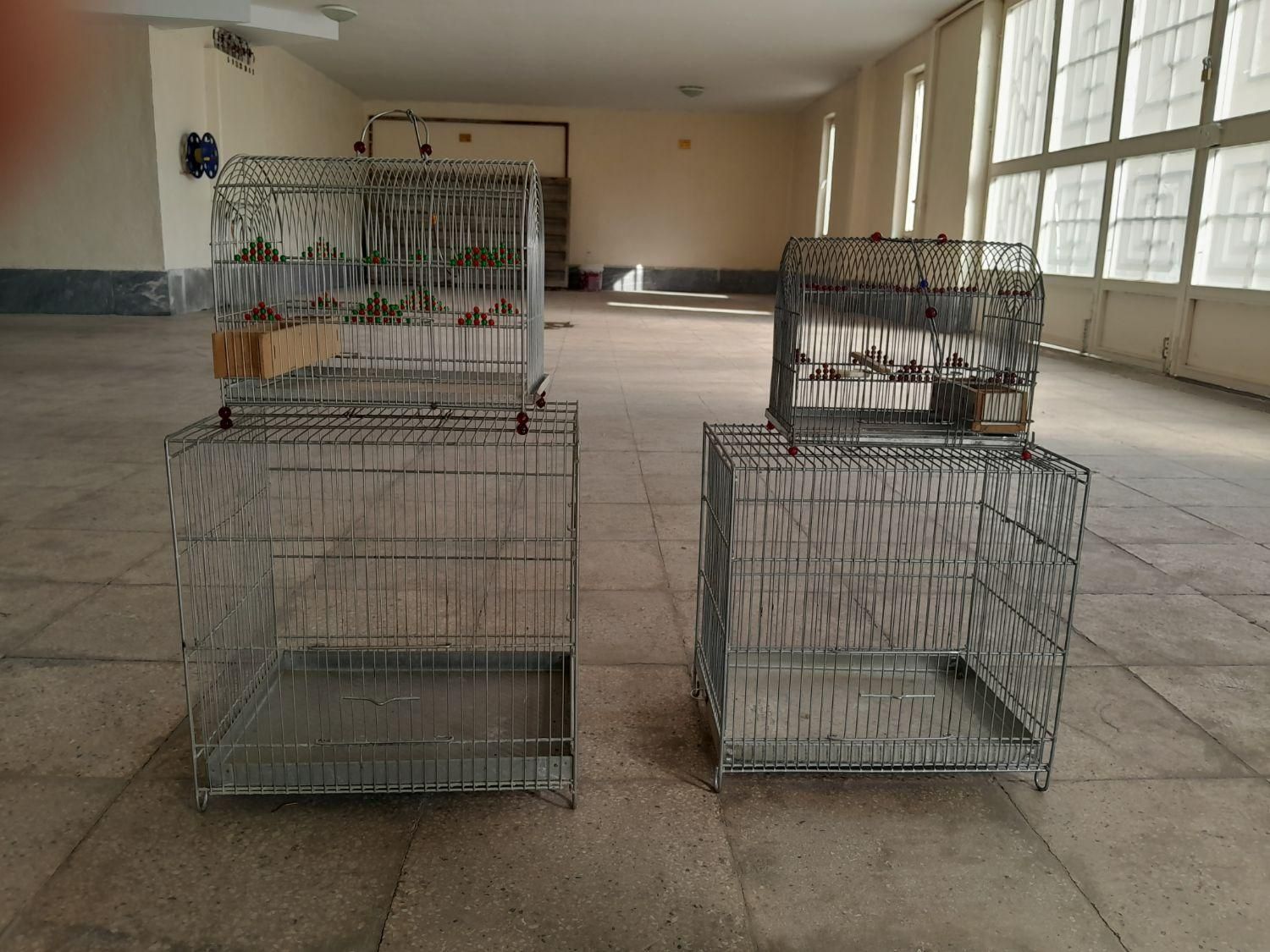 تعداد قفس در سایز های مختلف|لوازم جانبی حیوانات|پردیس, فاز ۴|دیوار