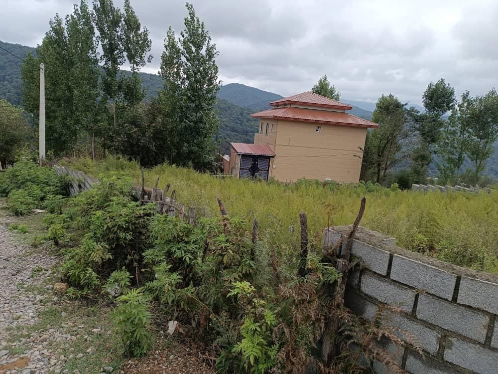 زمین سندتک برگ|فروش زمین و ملک کلنگی|زیرآب, |دیوار