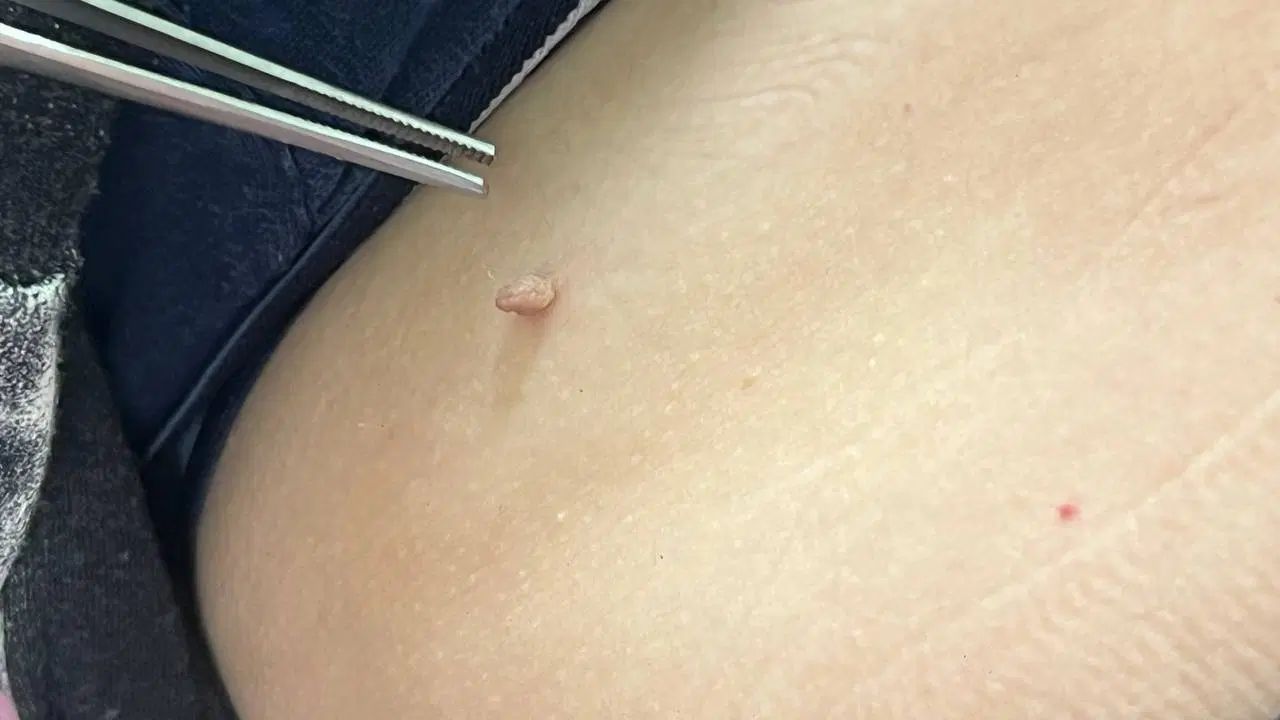 جلسه اول رایگان به مناسبت سالگرد افتتاحیه|خدمات آرایشگری و زیبایی|تبریز, |دیوار