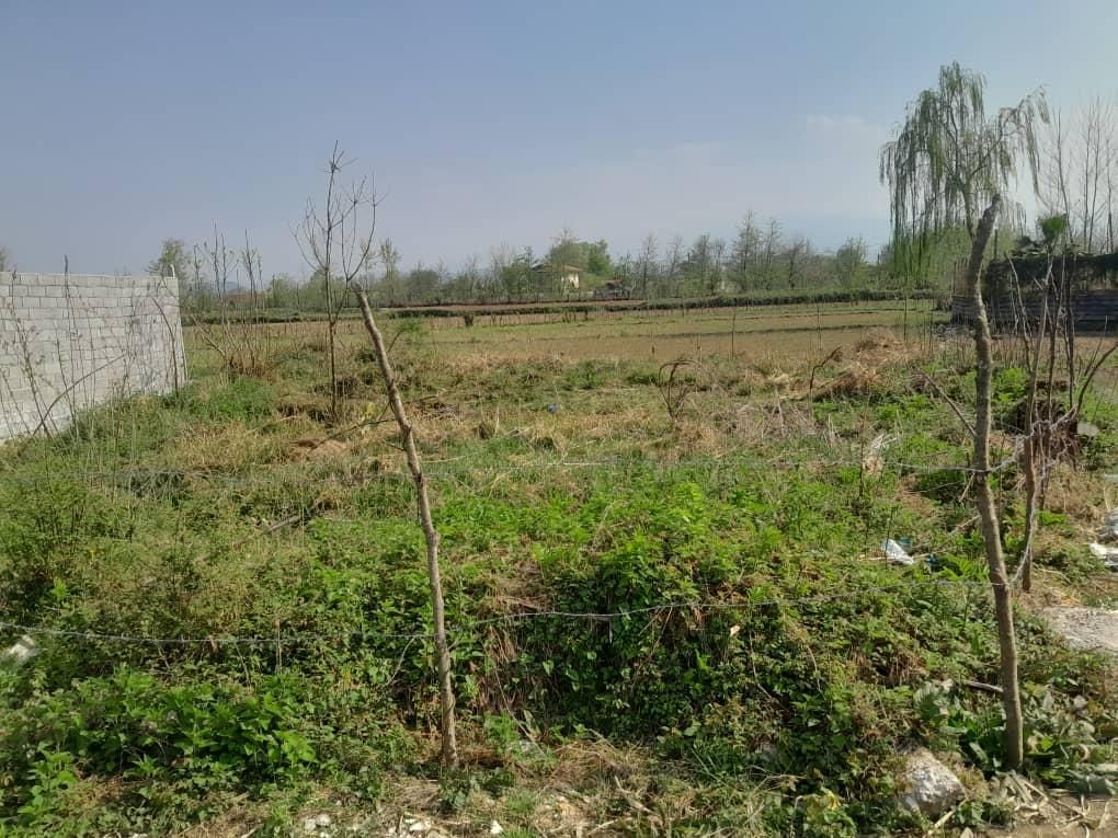 زمین روستایی لاهیجان مسکونی  چشم انداز تالاب|فروش زمین و ملک کلنگی|لاهیجان, بوجایه|دیوار