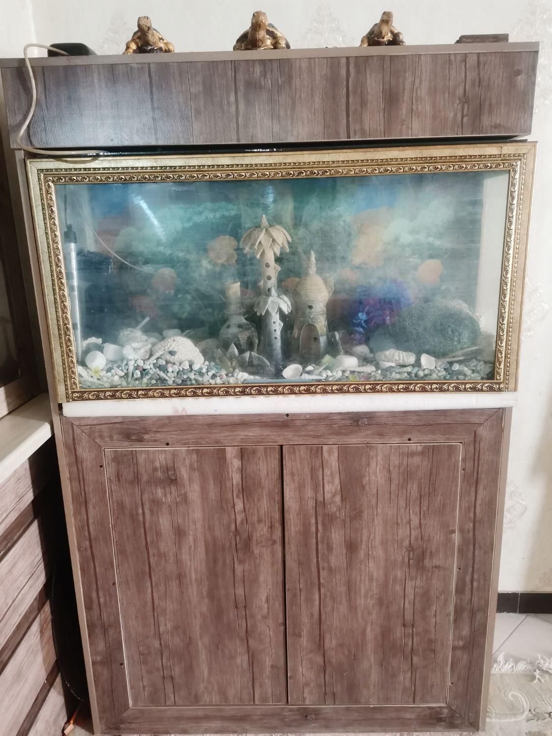 فروش آکواریوم همراه با کمد ام دی اف|ماهی|شیراز, شهرک گلستان|دیوار