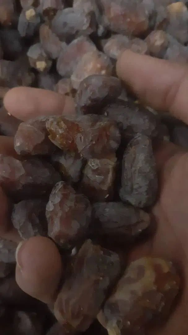 خرما کیلویی|خوردنی و آشامیدنی|مشهد, ده دی|دیوار