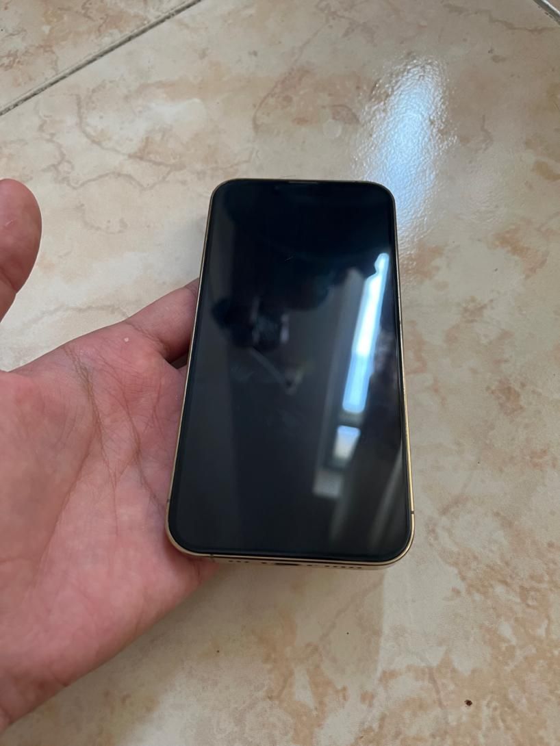 اپل iPhone 13 Pro با حافظهٔ ۱ ترابایت|موبایل|اصفهان, سپاهان‌شهر|دیوار