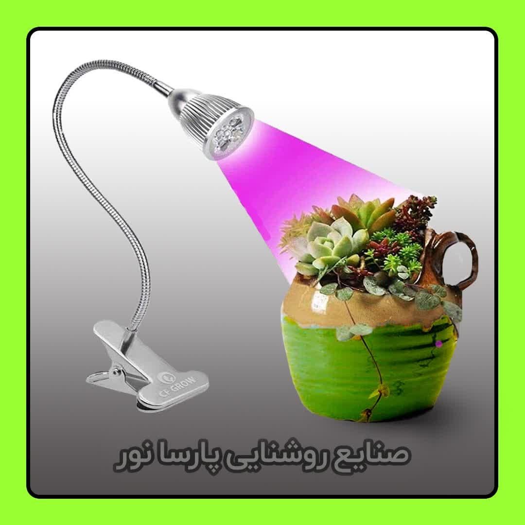 تولید لامپ ۳ وات فول اسپکتروم / هالوژن رشد گیاه|گل و گیاه طبیعی|مشهد, سناباد|دیوار