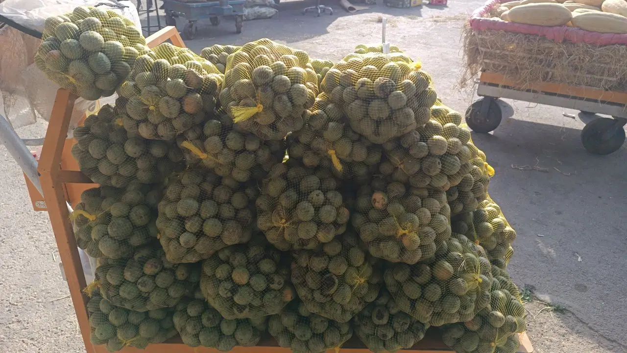 گردو ی سبز|خوردنی و آشامیدنی|تهران, تهرانپارس شرقی|دیوار