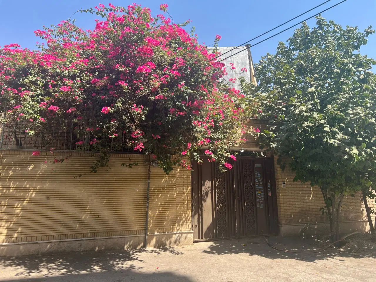 رهن و اجاره واحد مسکونی ابتدای بلوار رازی|اجارهٔ خانه و ویلا|شیراز, شهرک مفتح|دیوار
