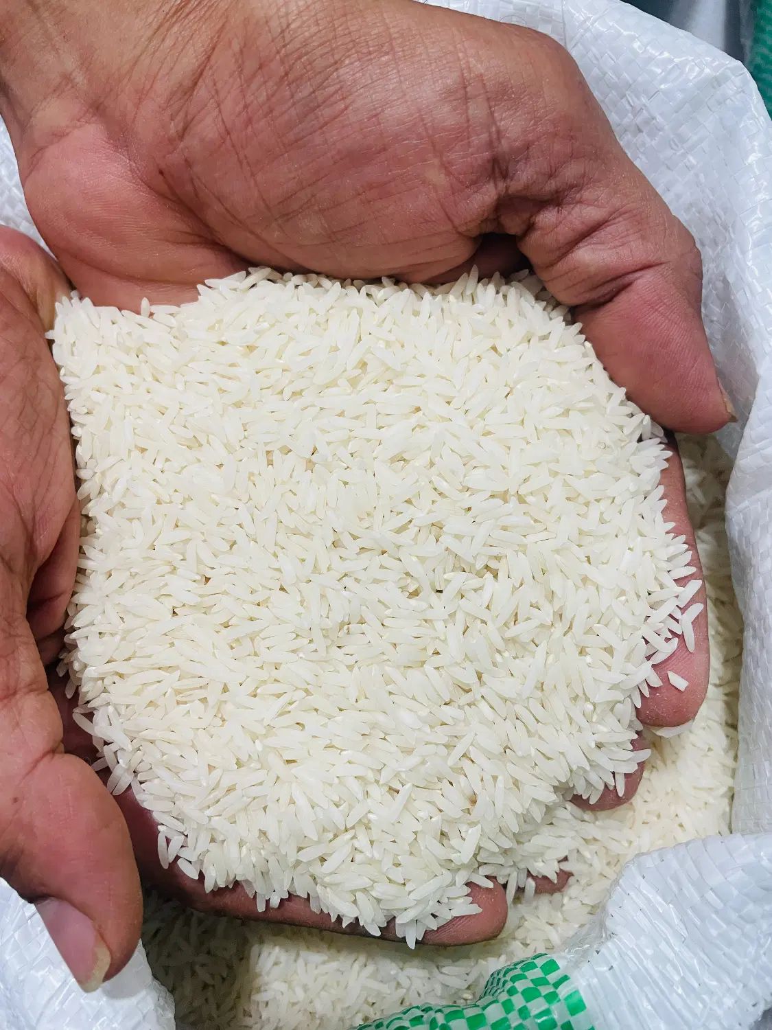 برنج هاشمی تازه محصول خودم در حمیدیان کیلویی۲۷۰|خوردنی و آشامیدنی|رشت, یخسازی|دیوار
