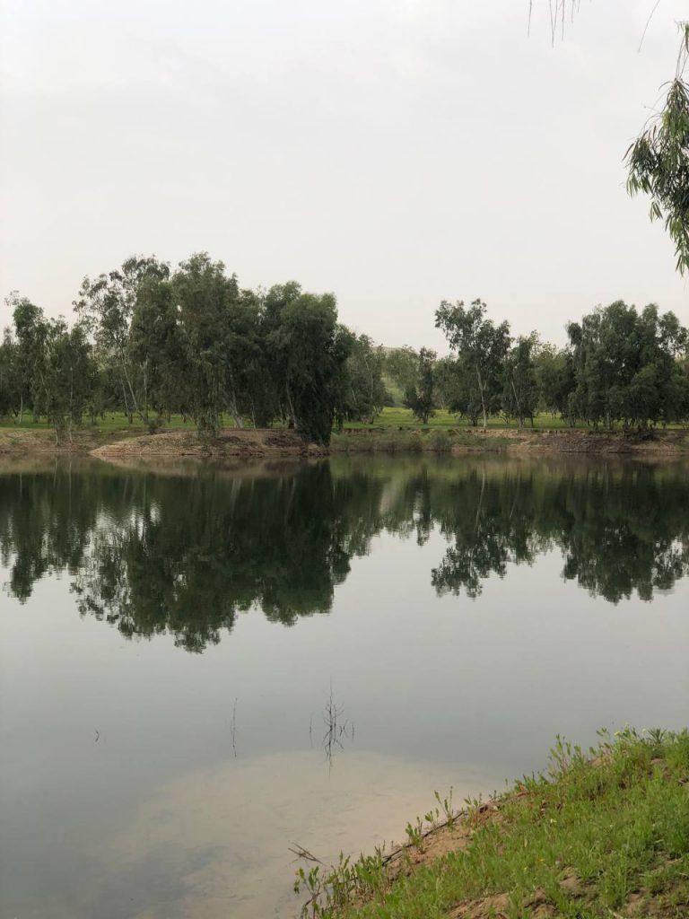 زمین ۱۱۳۰ متری چاه ماری|فروش زمین و ملک کلنگی|بهبهان, |دیوار