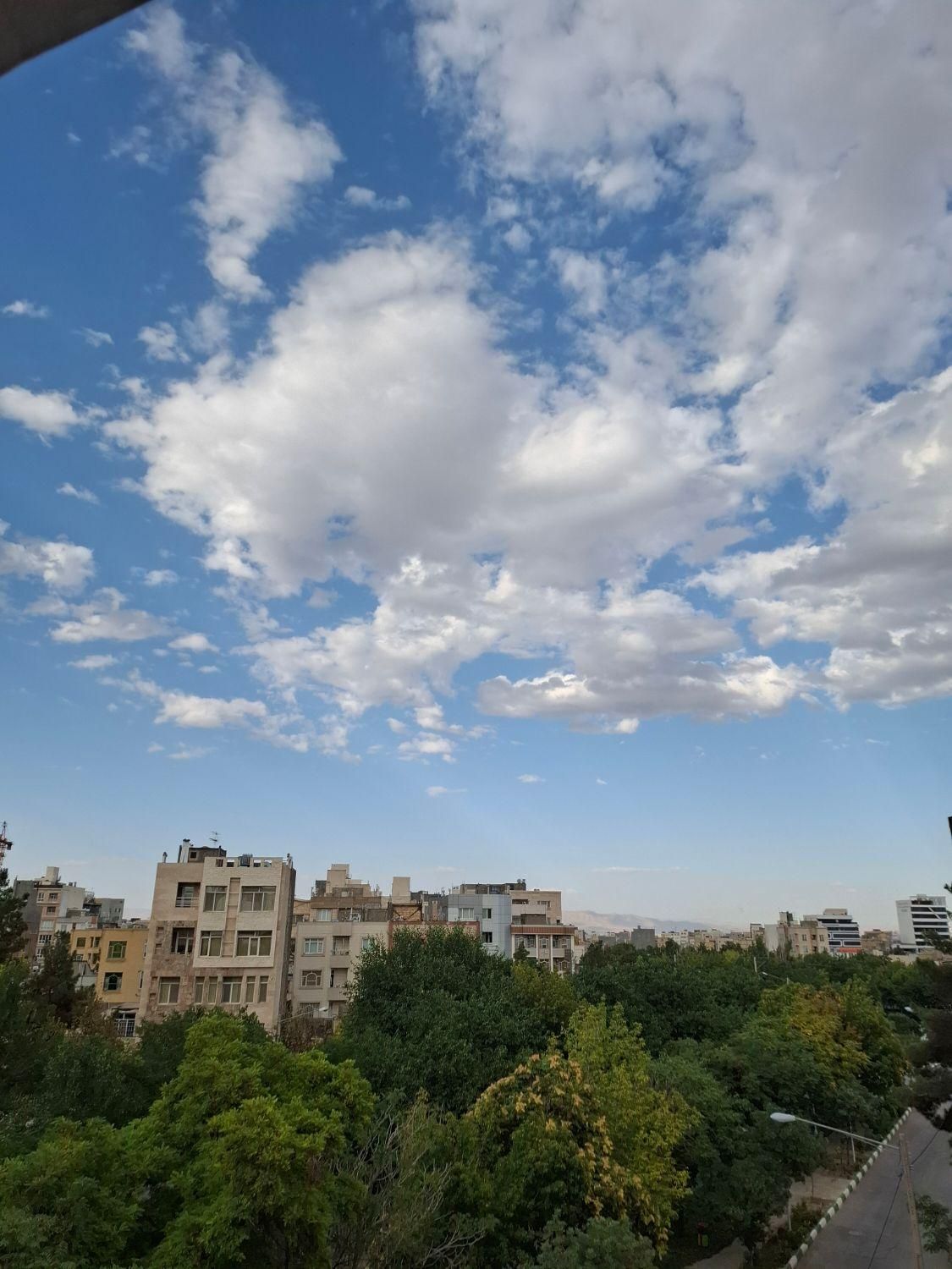 برنامه تمرینی سالن غذایی و هوازی .فوتسال بدنسازی|فعالیت داوطلبانه|مشهد, شهرک رازی (شهرک غرب)|دیوار
