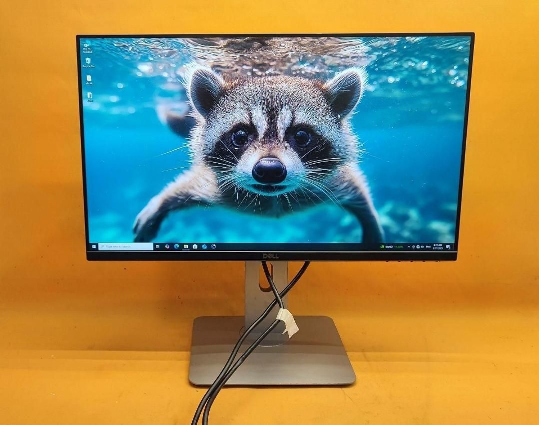 مانیتور 24 اینچ دل dell پنلipsوLEDوFHDوپایه چرخشی|قطعات و لوازم جانبی رایانه|مشهد, شهرک رازی (شهرک غرب)|دیوار