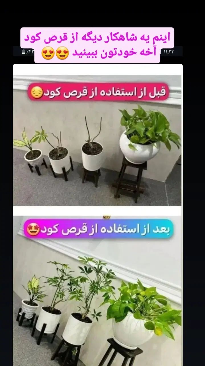 قرص کود عالی ۱۲۰ عددی|گل و گیاه طبیعی|تهران, جردن|دیوار