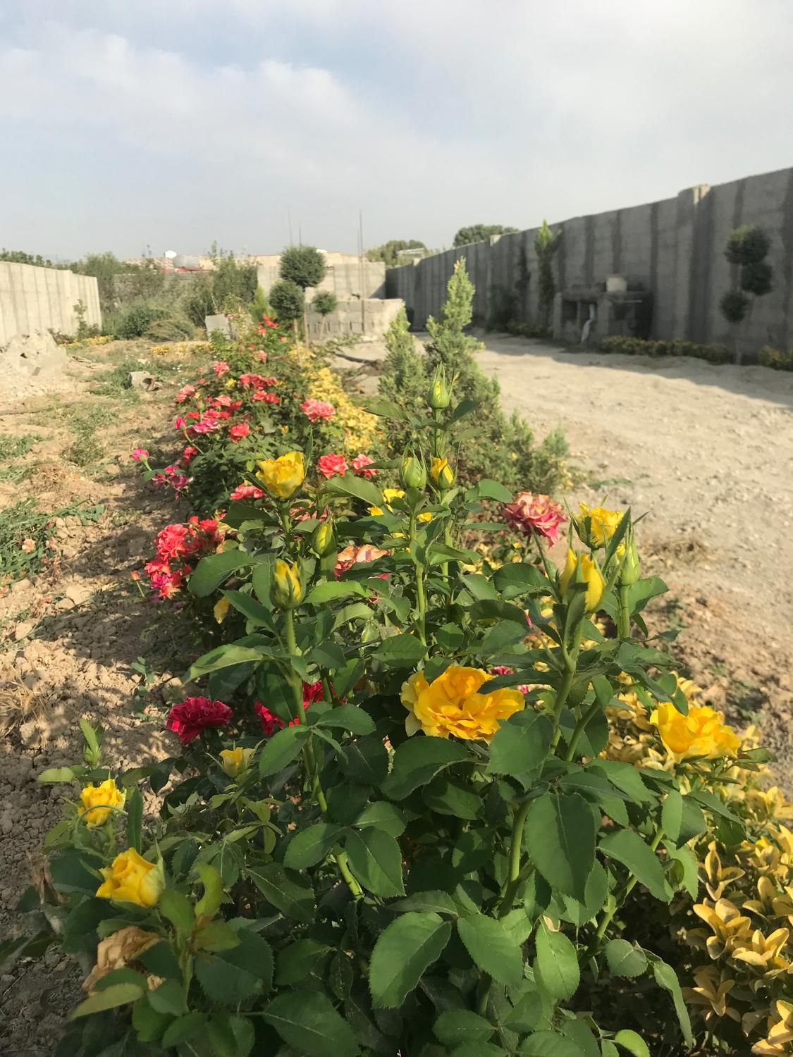 ۶۶۰ متر باغچه ۴ دیواری ، سهمیه اب ، رامجین ، کاسبی|فروش زمین و ملک کلنگی|کرج, برغان|دیوار