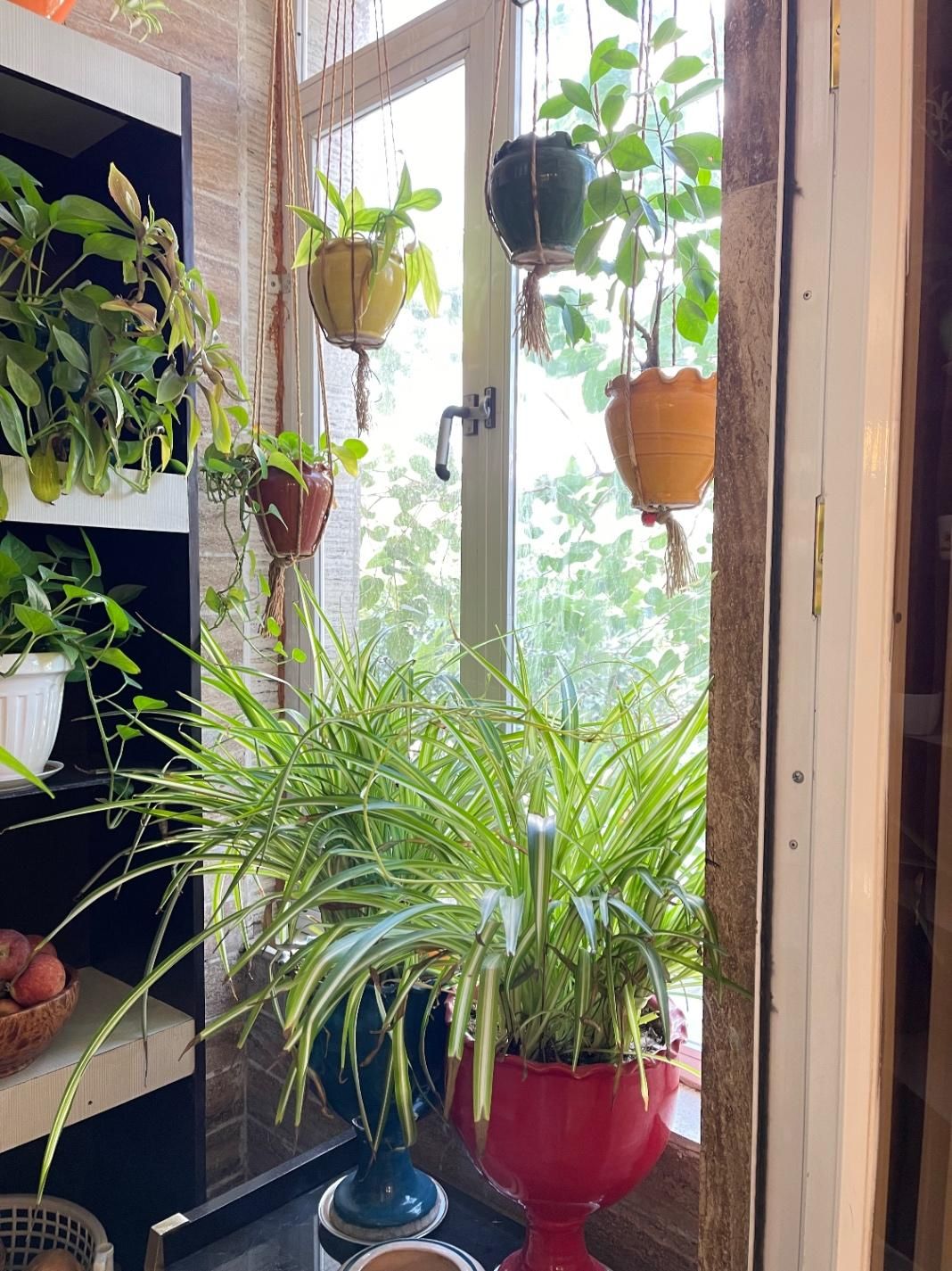 165متری اول رضوی/۳ خواب تک واحدی تمیز|فروش آپارتمان|مشهد, رضاشهر|دیوار