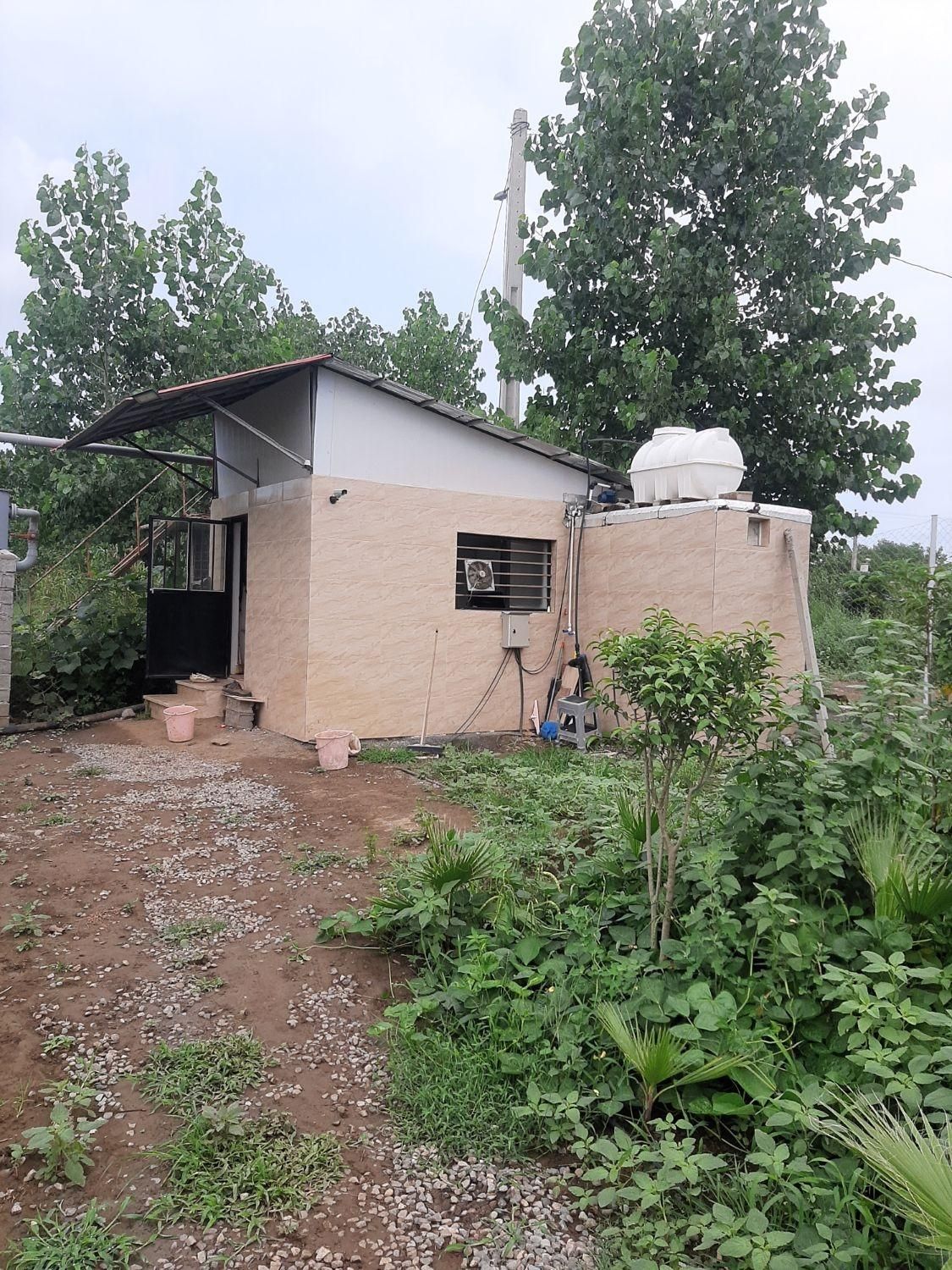 گلخانه فعال|فروش دفتر صنعتی، کشاورزی، تجاری|لنگرود, |دیوار