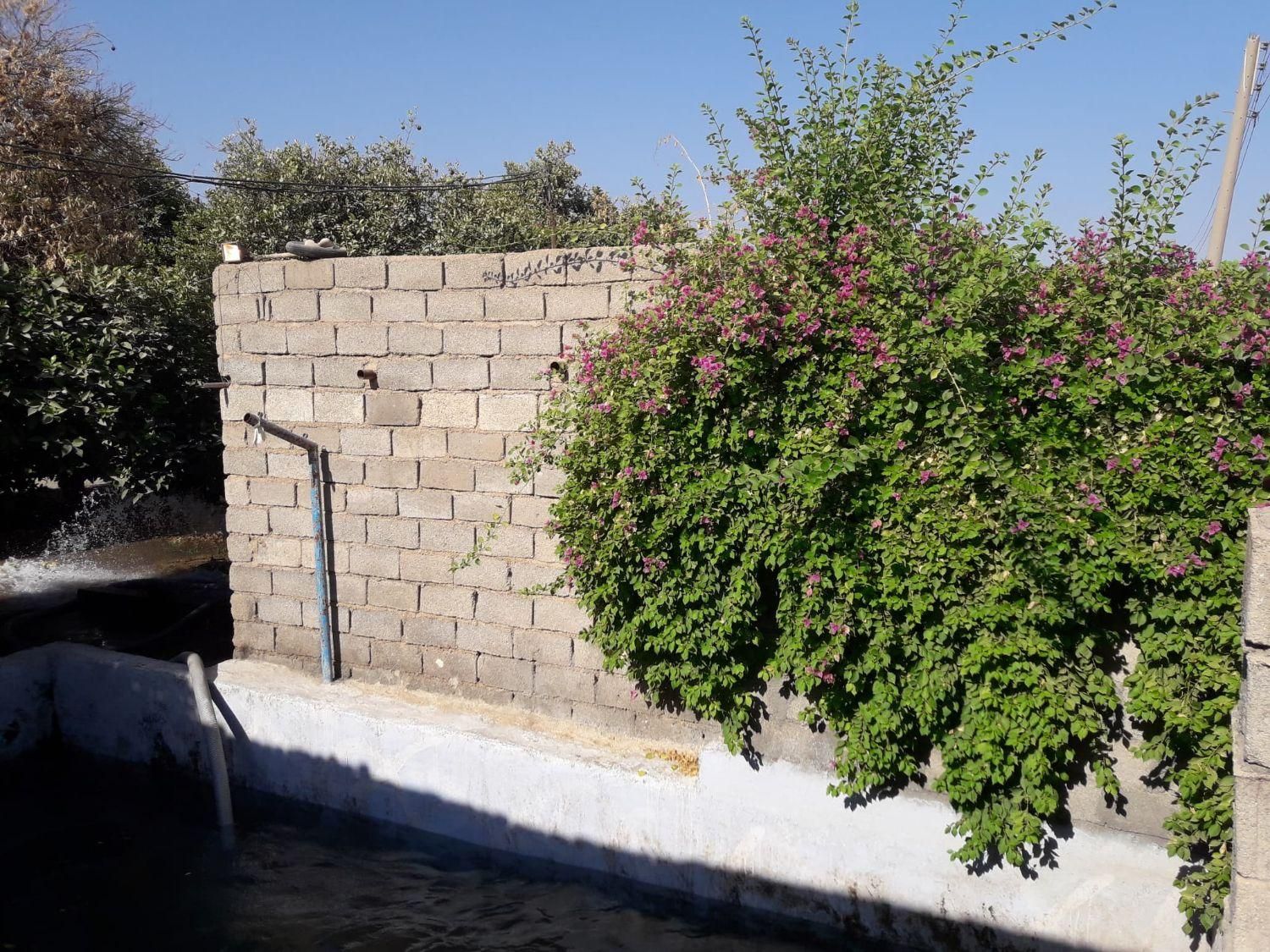 زمین با مجوز پرورش ماهی|فروش دفتر صنعتی، کشاورزی، تجاری|گتوند, |دیوار