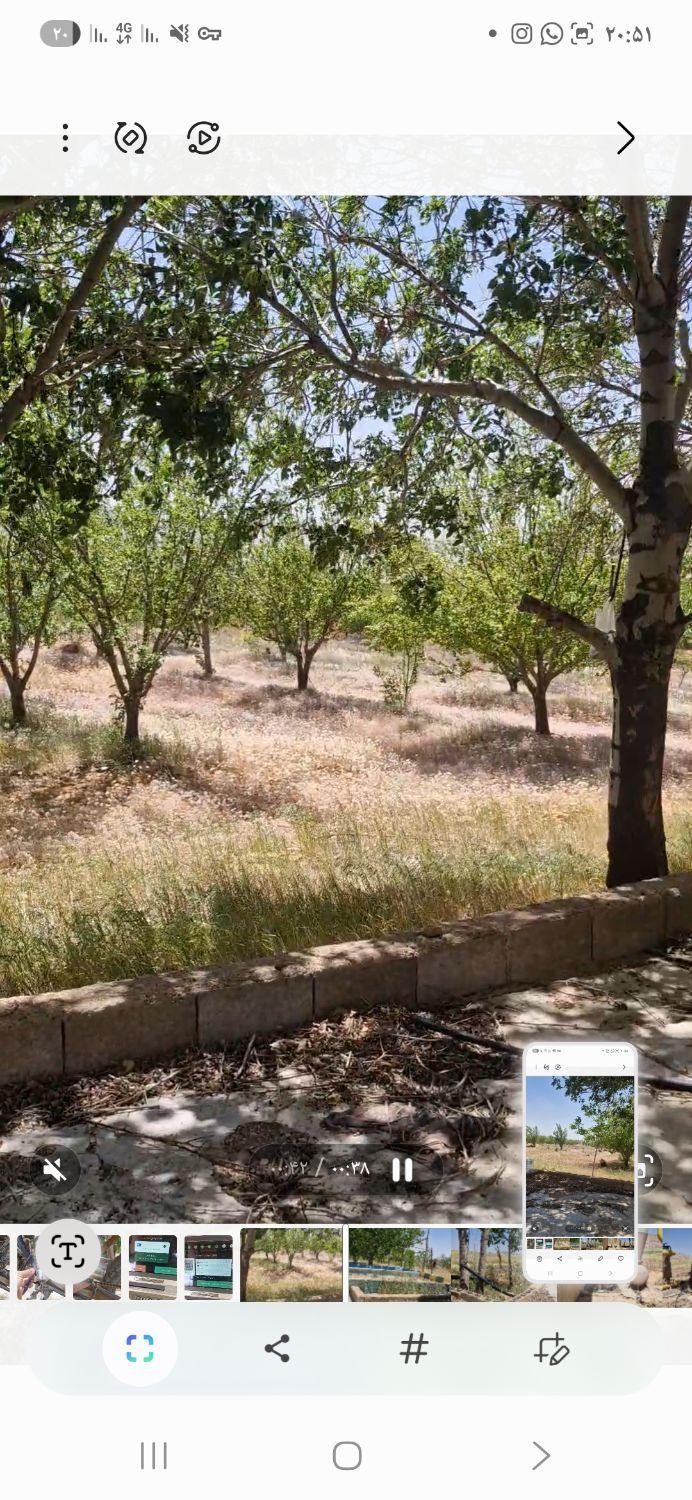 فروش زمین ۱۰۰۰ متری در کودیان ابپرده|فروش زمین و ملک کلنگی|شیراز, کودیان|دیوار