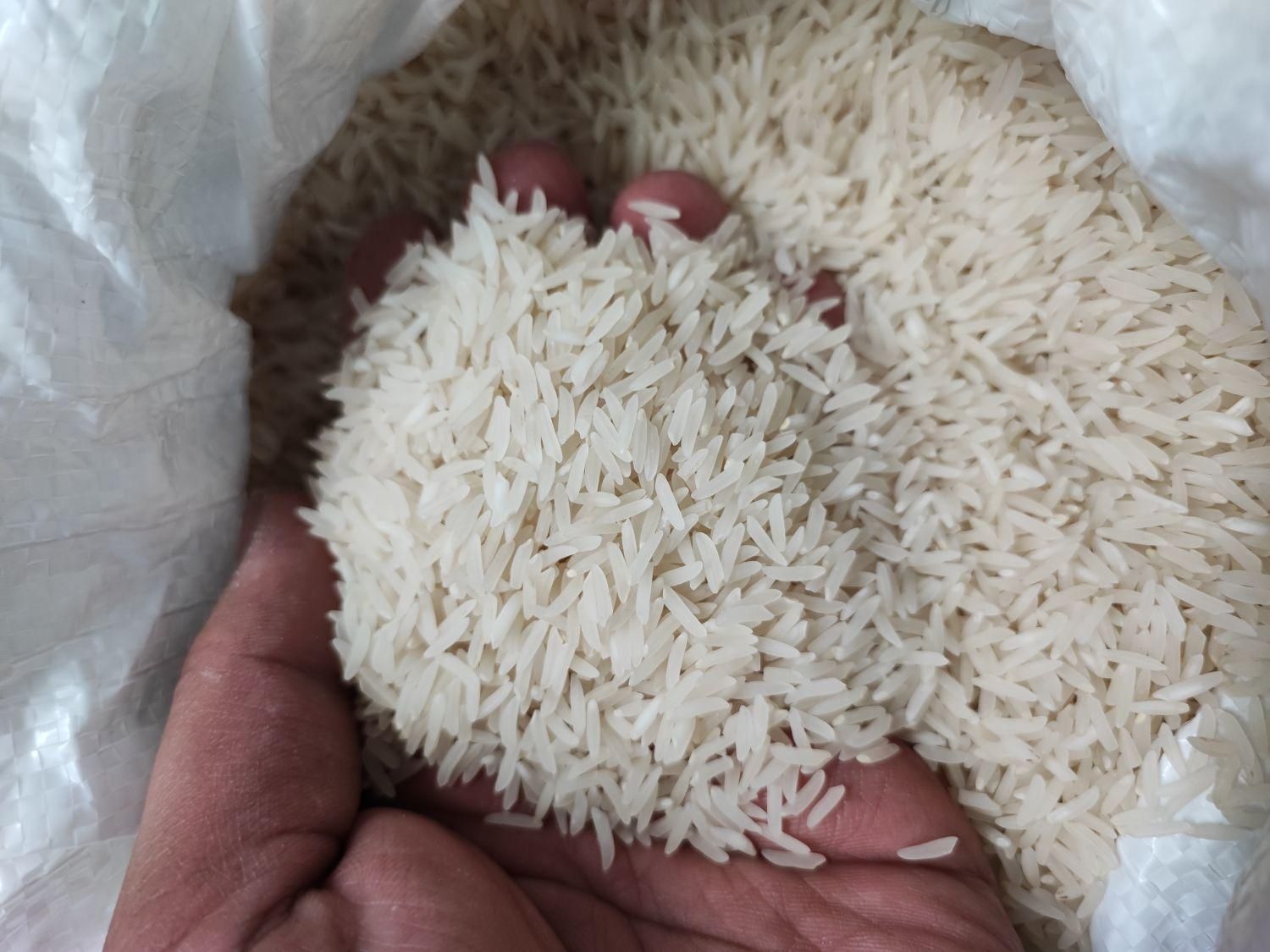 برنج ایرانی درجه یک سرگل ناب مینودشت|خوردنی و آشامیدنی|مشهد, کلاهدوز|دیوار