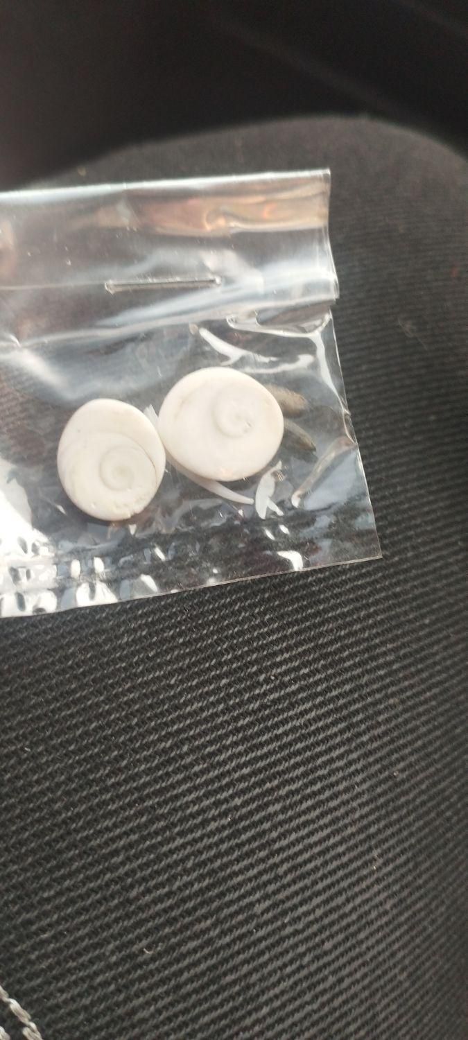 سنگ زینتی و قیمتی|جواهرات|ری, شهید غیوری (ابن باویه)|دیوار