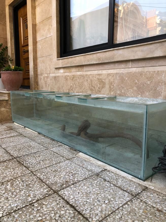 اکواریوم حرفه ای بزرگ|ماهی|گنبد کاووس, |دیوار