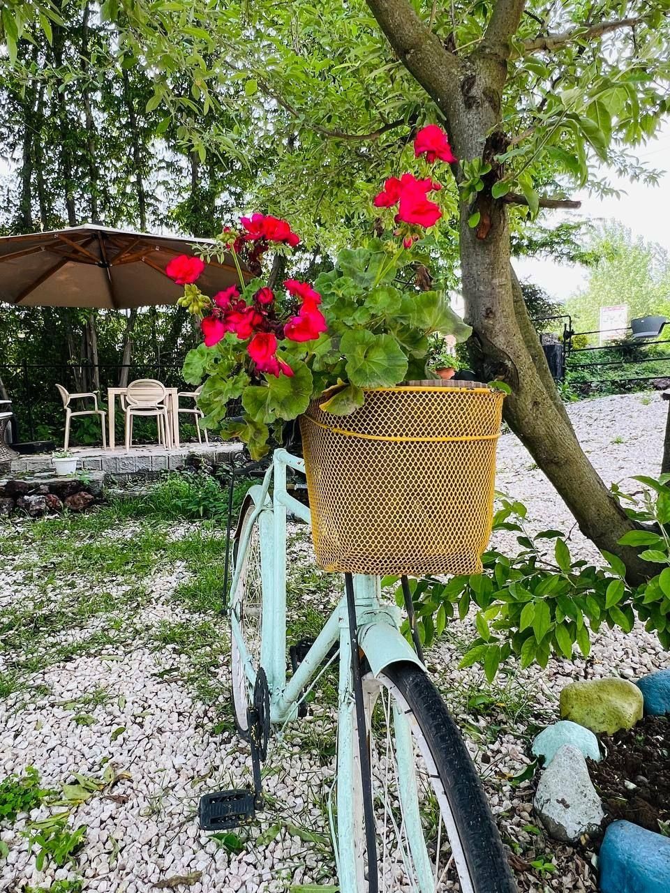 اجاره ویلا باغ روزانه|اجارهٔ کوتاهمدت ویلا و باغ|املش, |دیوار