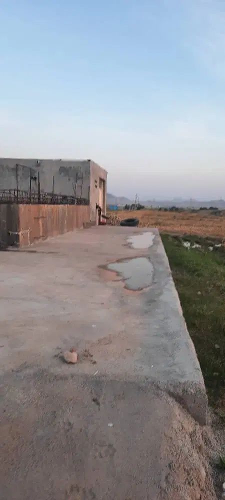 فروش ملک کشاورزی گچساران دشت بزرگ لیشتر|فروش دفتر صنعتی، کشاورزی، تجاری|دوگنبدان, |دیوار