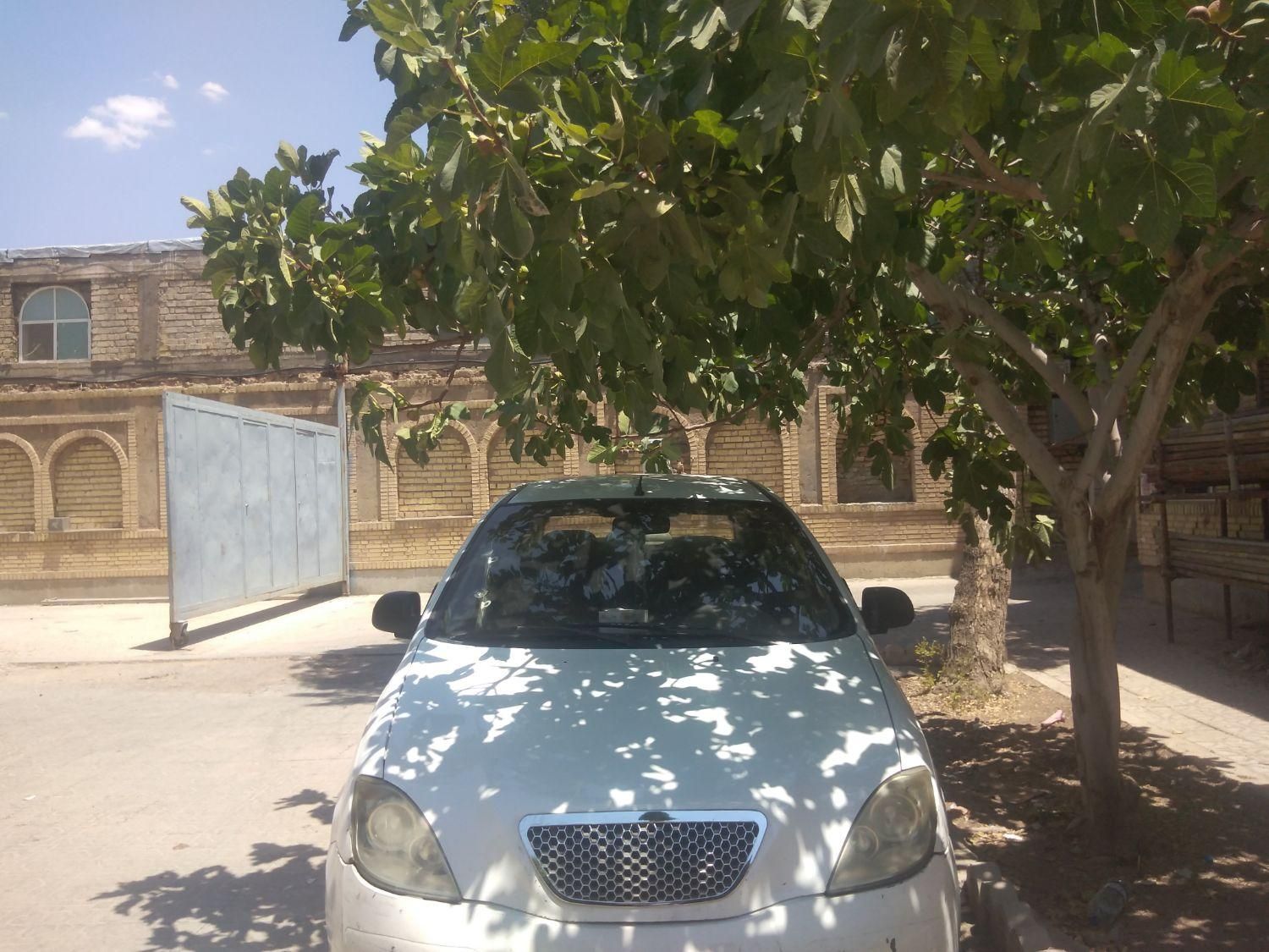 تیبا صندوق‌دار EX دوگانه سوز، مدل ۱۳۹۳|خودرو سواری و وانت|شیراز, گویم|دیوار