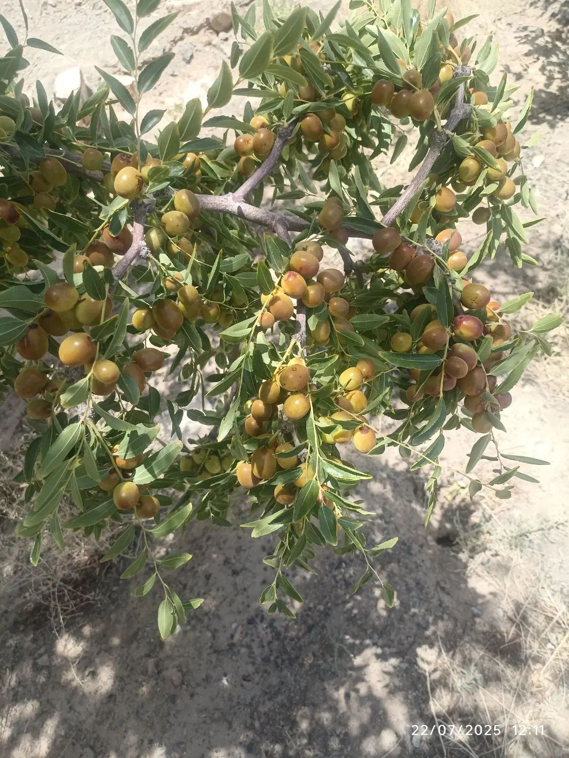 تصویر 4