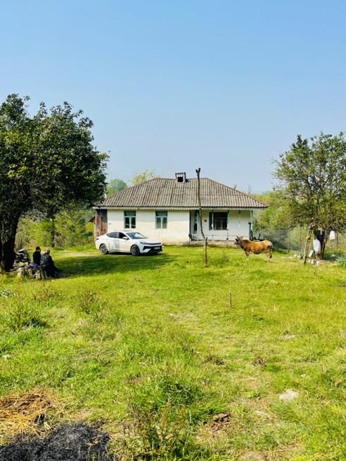 مثه این زمین نداریم خدایش تو گیلان صفر جنگل|فروش زمین و ملک کلنگی|شفت, |دیوار