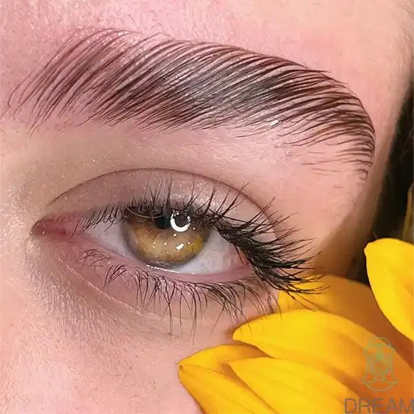 لیفت مژه و ابرو زیبایی طبیعی بدون نیاز به فیلتر|خدمات آرایشگری و زیبایی|مشهد, الهیه|دیوار