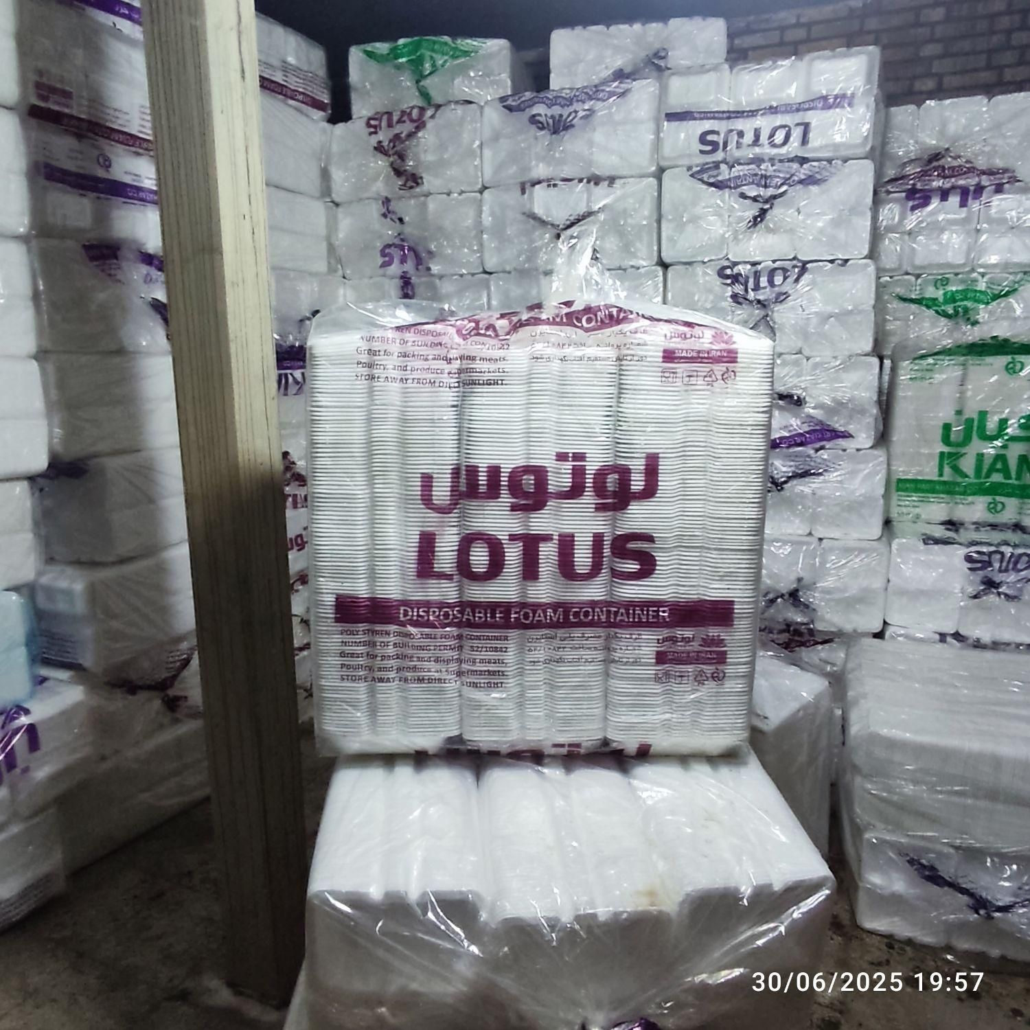 پخش عمده لیوان یکبار مصرف وفوم تک‌پرس|ظروف نگهدارنده، پلاستیکی، یک‌بارمصرف|یزد, |دیوار
