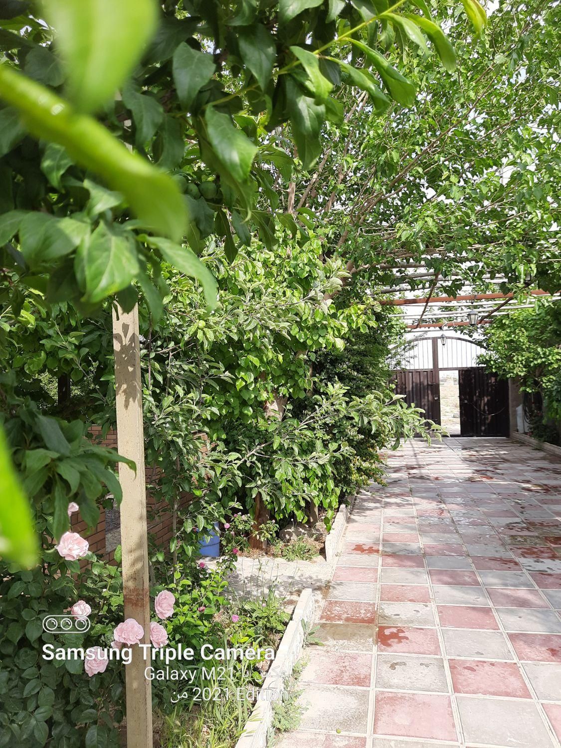 اجاره خونه باغ جهت مراسمات خانوادگی|اجارهٔ کوتاهمدت ویلا و باغ|پاکدشت, پاکدشت (مامازند)|دیوار