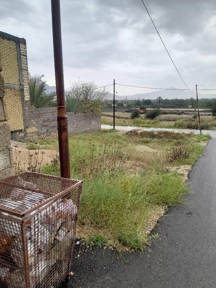 زمین مسکونی درکازرون روستای شیخی سر چهار راه دونبش|فروش زمین و ملک کلنگی|کازرون, |دیوار